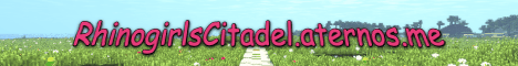 Explore the Citadel: A Minecraft Adventure