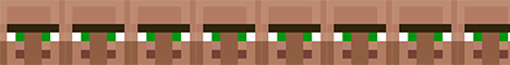 TheVillagerPeople: Anarchy Adventure