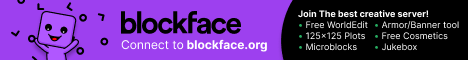 Blockface: Creative Community with Custom Plugins
