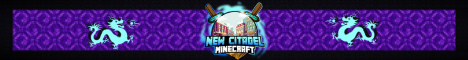NewCitadelMC: Towny Thrills & Mini Games