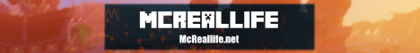 Realistic Economy and Factions: McReallife.net Review